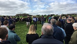 Houghton Lodge strategic farm launch